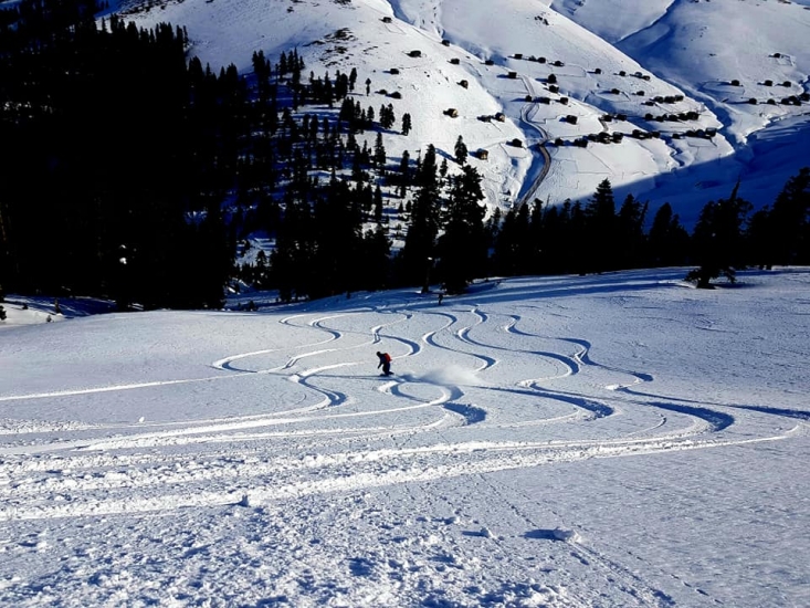 cat ski in Bakhmaro