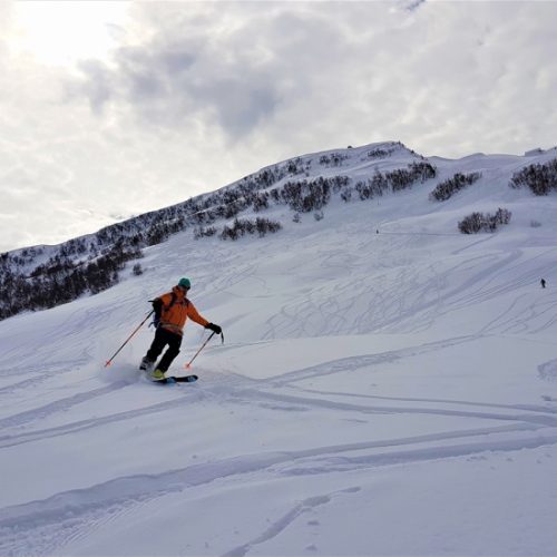 Ski touring gudauri bidara