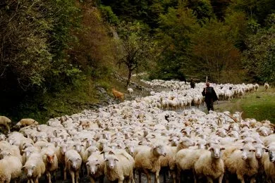 Trekking Tuschetien – Chewsuretien